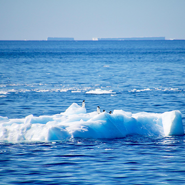 Weddell Sea